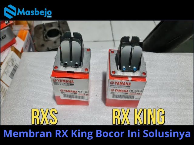 Membran RX King